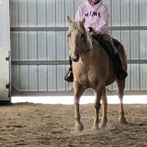 Meet your Posher, Lynne